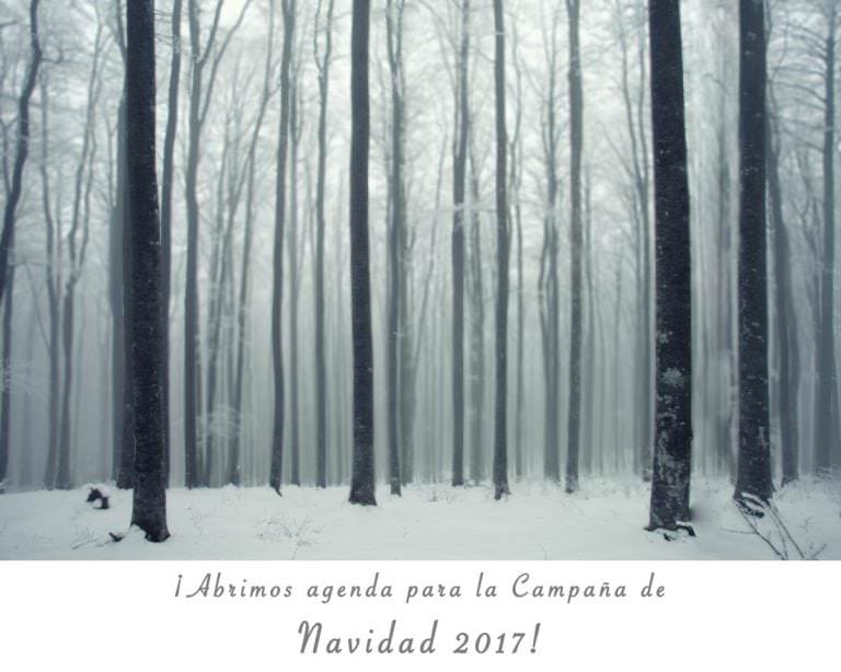 Lee más sobre el artículo Campaña de Navidad 2017
